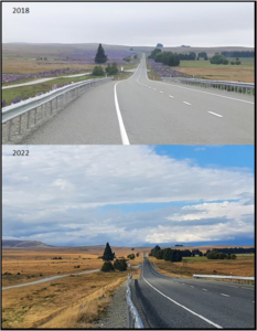 Two photographs showing the SH8 roadside before and after Russell Lupin control in the Mackenzie.