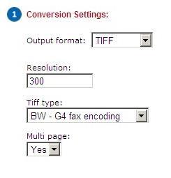 Conversion settings window with fields completed