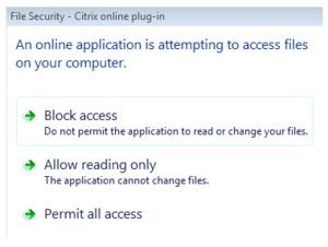 Citrix file security