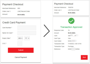 Screenshot of payment checkout 