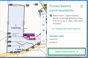 Screenshot of inspect and adopt Capture balance parcel button