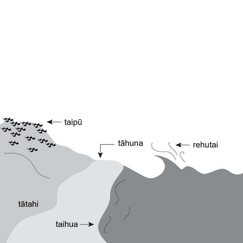 Drawing of a wave, a beach and a sand dune. 