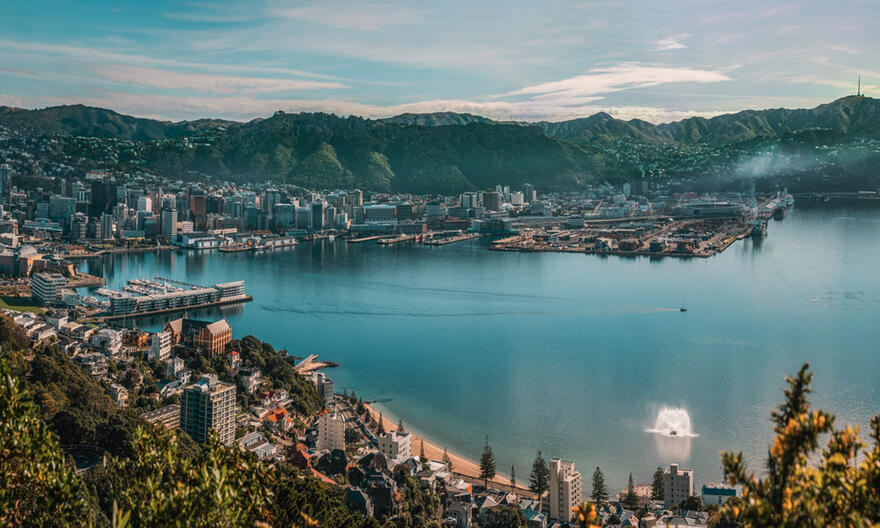 View of Wellington Harbour from Mount Victoria on a beautiful day