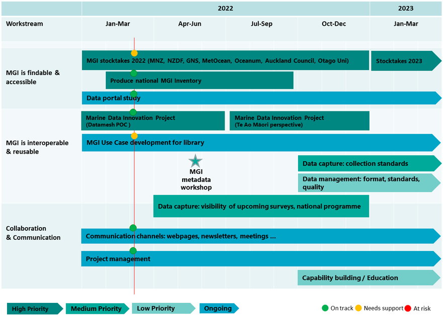 NZMGI Working Group road map 2021-2022 project timeline roadmap