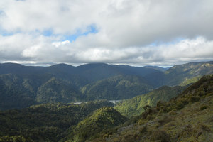 View of Orongorongo Valley hills
