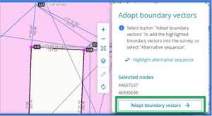 Adopt boundary vectors panel with 'Adopt boundary vectors' button highlighted