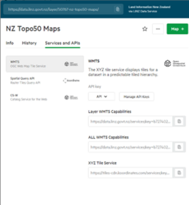 Select the Services and APIs tab of any raster dataset 