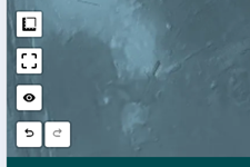 The line/polygon toggle