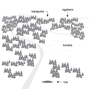 Drawing of a forest with a stream winding through it and a hole in the ground in the foreground. 