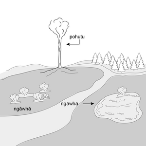 Drawing of small pond with rising steam, steam vents and a geyser. 