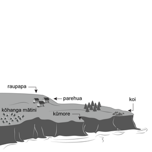 Drawing of a high-sided cape with houses and a flock of birds.