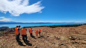Inspection of removal of wilding pines at Ferintosh.