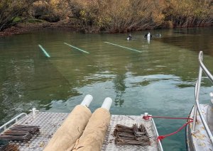 cropped image of divers in Kawarau river laying hessian matting