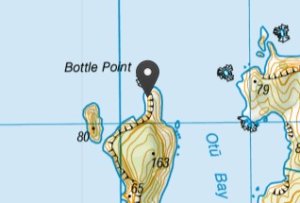 screenshot of the nzgb gazetteer showing temporary marker for Bottle Point