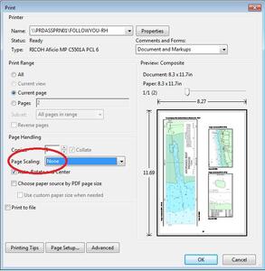 Example of Printer Settings with Page Scaling set to None