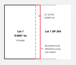 Lot 1 being Section 32 and Part Section 33 Blk IX with red solid lines showing boundaries to be defined by survey and marked.