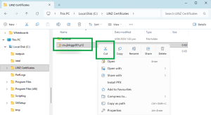 image of file explorer, with the digital certificate file selected and 'Cut' highlighted in the menu.