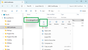 image of file explorer, with the digital certificate file selected and 'Cut' highlighted in the menu.