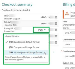 image of the checkout summary panel, highlighting the file formats.