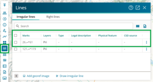 image of the irregular lines panel highlighting the attributes fields for an irregular line.