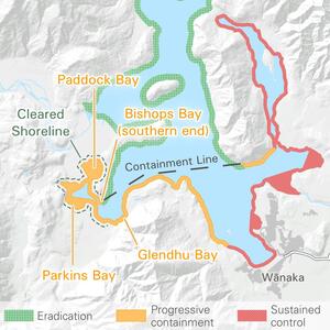A map which shows Lake Wānaka's shoreline broken up by different colours to indicate the stage of work being done. The north end of the lake is green for 'Eradication'; Paddock Bay, Parkins Bay and Glendhu Bay are yellow for 'Progressive containment'; and the east side of the lake is red for 'Sustained control'.