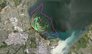 Screenshot from the animation showing the movement of weed particles during strong north-easterly winds in the November 2025 wash-up event. 
