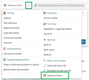 image of the Web Search search panel, highlighting "Search Statutory Action" under "Other search types".
