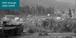 World War 1 through place names: black and white photo overlooking Seddonville