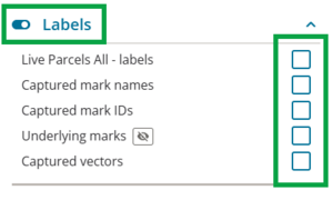 image of labels section in the layers panel. 'Labels' is toggled to on, and the individual labels' checkboxes are highlighted.