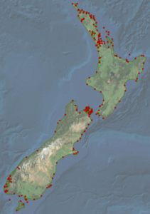 Image of a map of New Zealand showing the location of the Coastal Link Sites. 