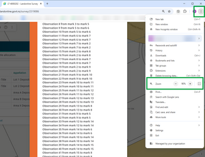 image of a browser window with the 3 dot menu highlighted and open. The zoom option in the menu is also highlighted.