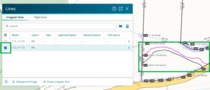 image of an irregular line selected in both the lines panel and spatially. In the lines panel the row is highlighted blue, and spatially the line is highlighted pink.