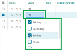 image highlighting the Layers field for an irregular line. The drop-down menu is open, and the primary and tertiary layers are selected.