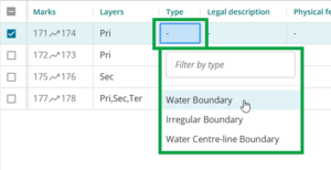 image highlighting the Tyep field for an irregular line. The dropdown menu is open displaying the 3 types of irregular line.