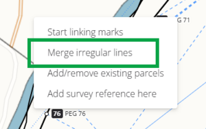 image of the context menu in spatial capture. "Merge irregular lines" is highlighted in the menu.