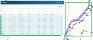 image of the vectors panel, highlighting the pseudo vectors added during the merge irregular line process. The vectors are also highlighted pink in the spatial view.