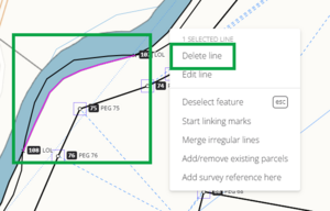 image of a selected irregular line segment highlighted in spatial view. The line's context menu is open, and "delete line" is highlighted.