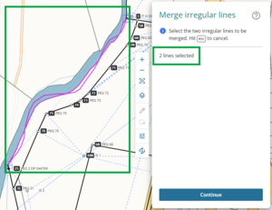 image highlighting 2 selected irregular lines in spatial view. The lines are pink. In the irregular lines panel, it shows that 2 lines are selected.