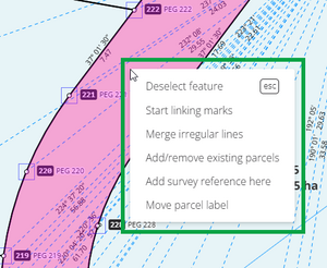 image of the selected parcel's context menu.