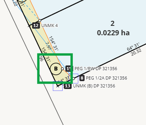 image highlighting the parcel appellation label for area B in survey capture. The label is positioned within the parcel, near the south end.