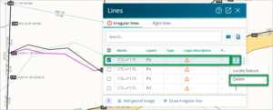 Screenshot of delete irregular line from lines panel