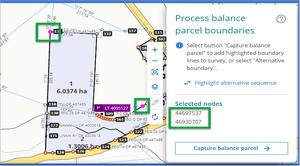 Screenshot of Process balance parcel boundaries panel with 'Capture balance parcel' button highlighted