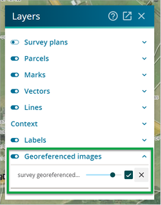 Layers panel with 'Georeferenced images' slider highlighted