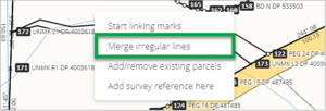 Screenshot of right click to select merge irregular lines