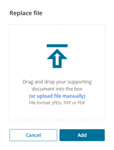 image of the replace file panel.