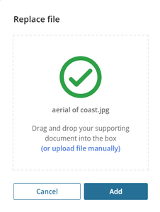image of the replace file panel with a file uploaded. There is a large green tick mark in the centre of the panel, with the file name below.