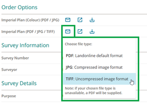 image of the order options, with "email" selected. A drop-down menu has opened with "choose file type".