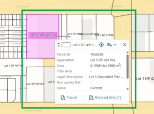 Image of a selected parcel in the spatial view in web search, with the parcel's info panel overlapping the parcel.