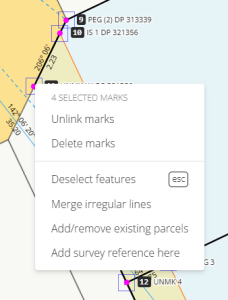 image of the context menu when multiple marks are selected in survey capture.