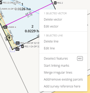 image of a boundary vector's context menu.
